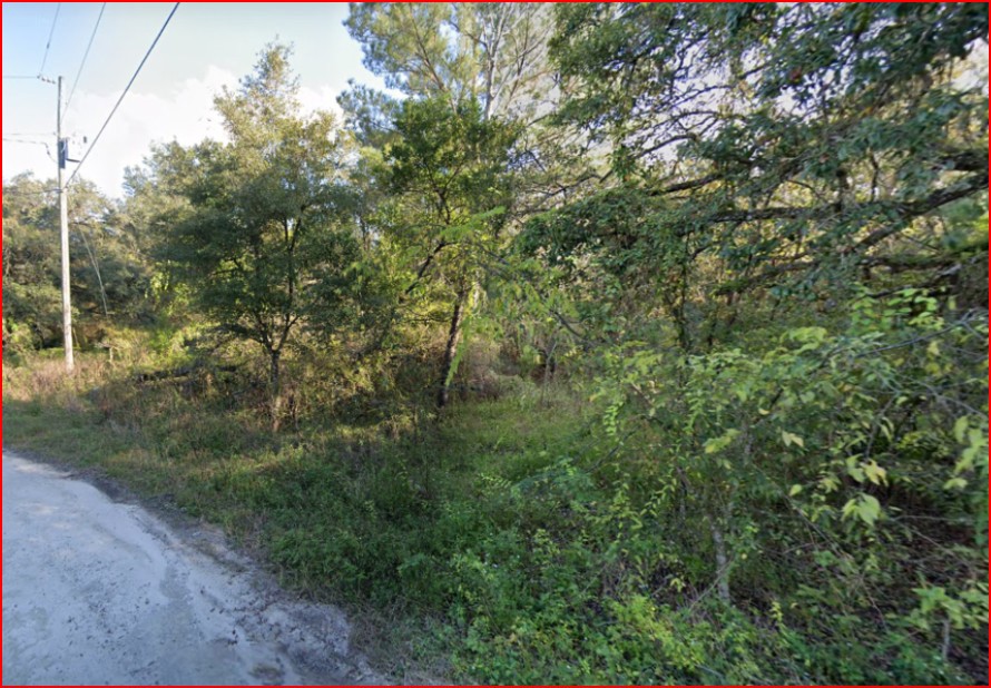 Vacant, Level Lot for Sale in Residential Hernando County   Government Surplus Auction - Photo #2
