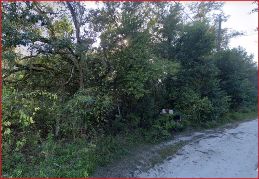Vacant, Level Lot for Sale in Residential Hernando County   Government Surplus Auction - Photo #3