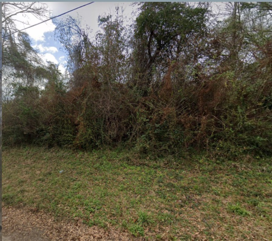 Vacant Residential Double Lot in Molino, FL   Government Surplus Auction - Photo #2