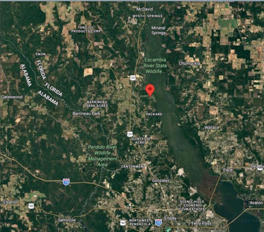 Vacant Residential Double Lot in Molino, FL   Government Surplus Auction - Photo #4