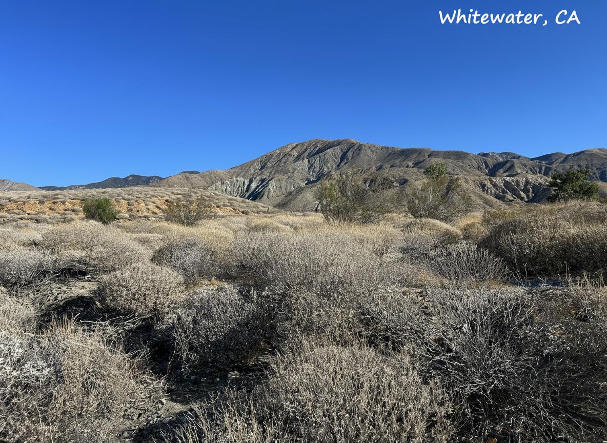 Whitewater, Where Desert Beauty Meets Affordability.  Owner Financing Available   Government Surplus Auction - Photo #3