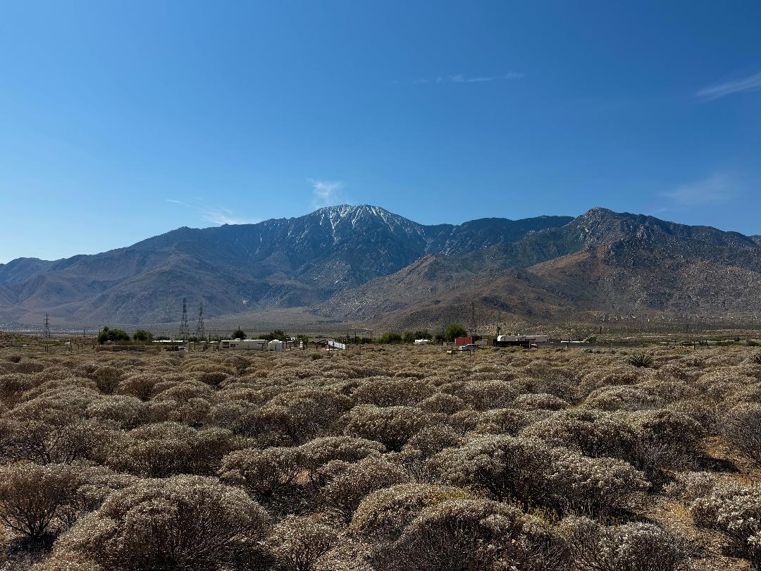 Whitewater, Where Desert Beauty Meets Affordability.  Owner Financing Available   Government Surplus Auction - Photo #6