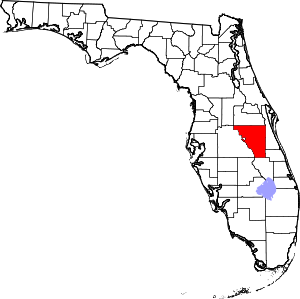 Central Florida Osceola County ~ 1/3 Acre Lot $1 Start No Reserve!