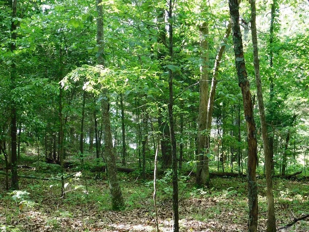 Lake Sequoyah Area**Close to Lake*Hillcrest Circle*W/Amenities**Taxes Current**Cherokee Village Ar Jeep Cherokee Government Surplus Auction - Photo #6