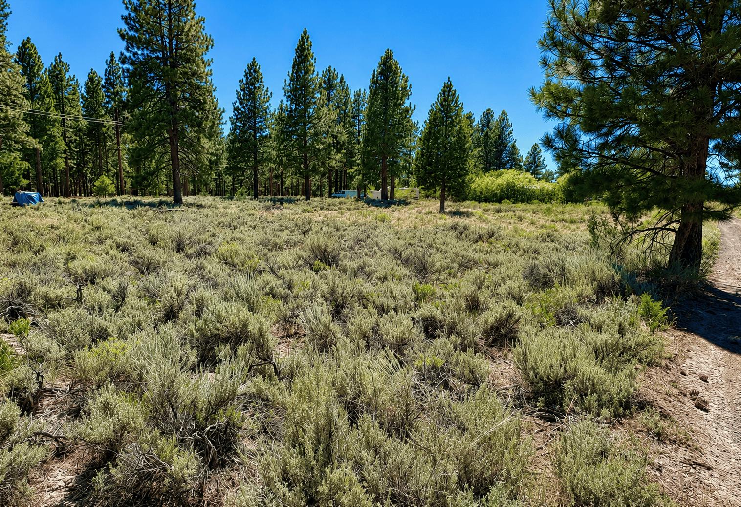 owner financed Size: 0.27 acres  APN: 077-354-005-000  Address: Ivy Way, Susanville, CA 96130   Government Surplus Auction - Photo #3