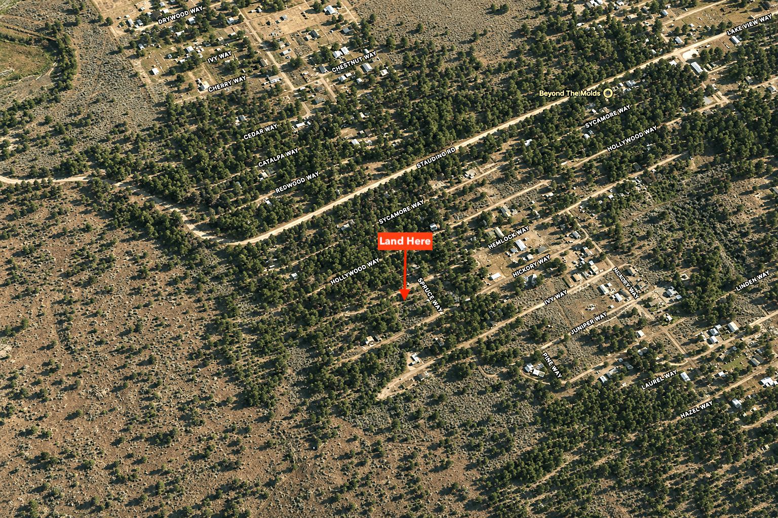 owner financed Size: 0.28 acres  APN: 077-412-019-000  Address: Hemlock Way, Susanville, CA 96130   Government Surplus Auction - Photo #5