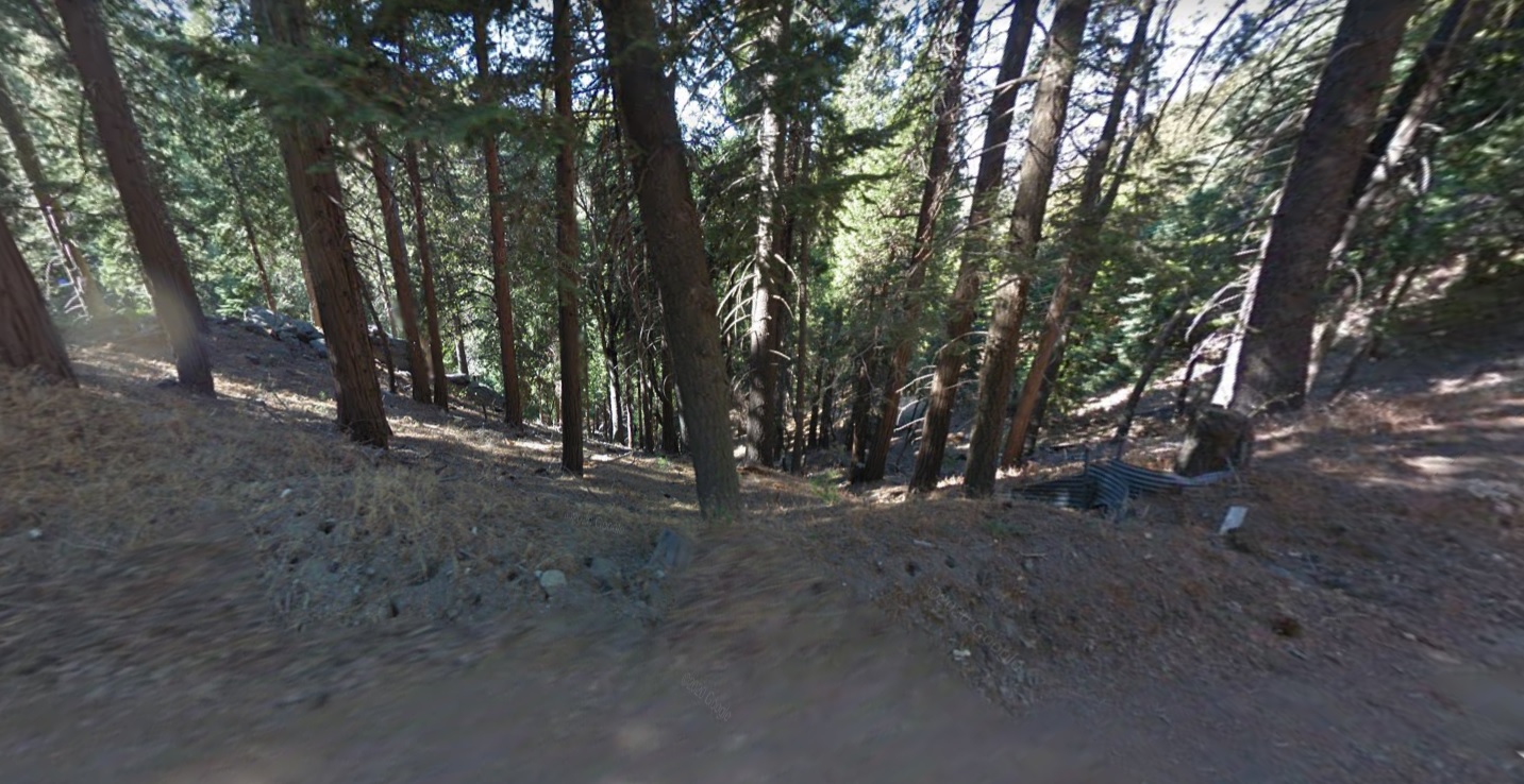 OWNER-FINANCED: Crestline, CA - Lot Near the Lake, $1 Down & as low as $133/mo.  133 Government Surplus Auction - Photo #2