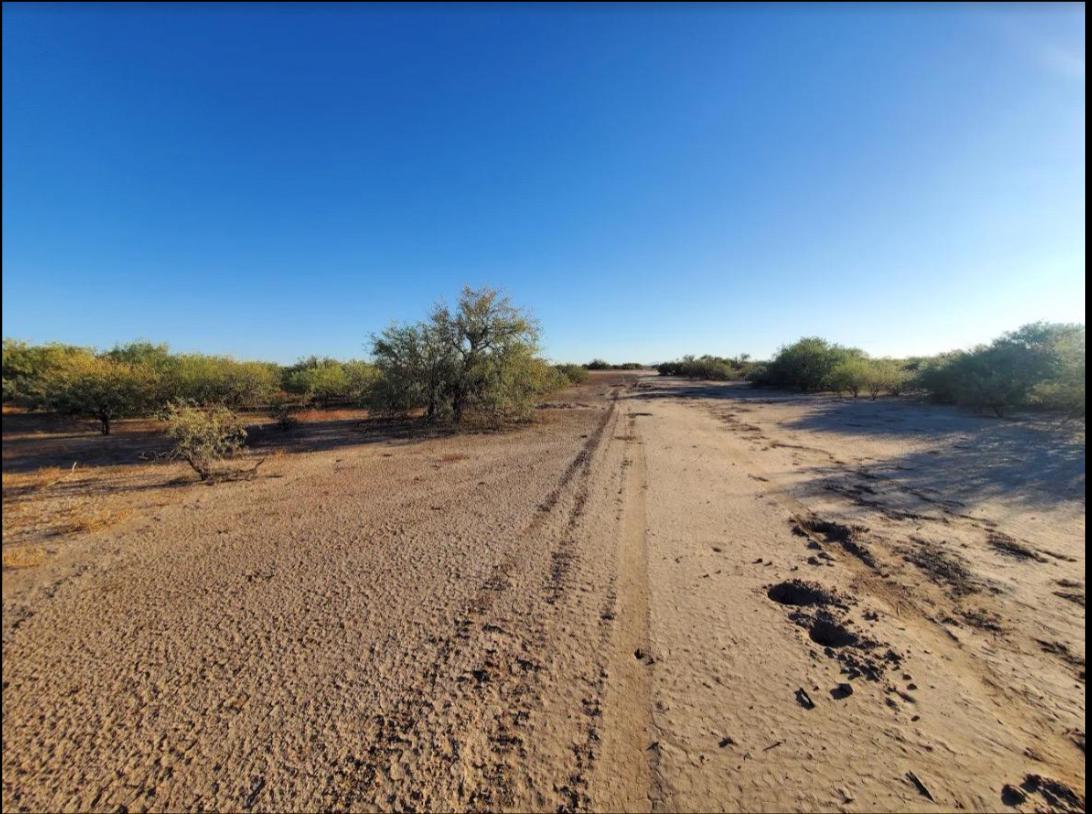 Level, Undeveloped Lot in Arizona City   Government Surplus Auction - Photo #3