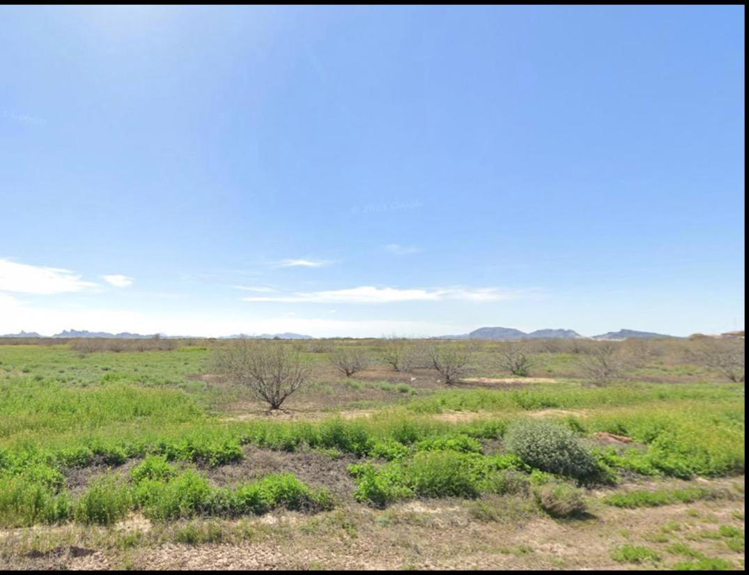 Level, Undeveloped Lot in Arizona City   Government Surplus Auction - Photo #6