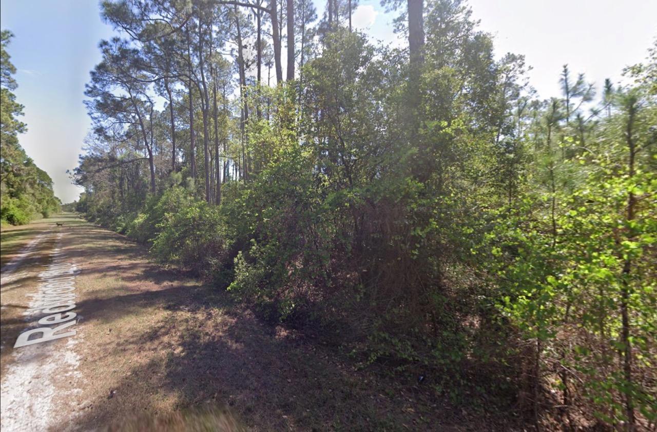 Level, Residential Lot near Lake George, FL   Government Surplus Auction - Photo #2
