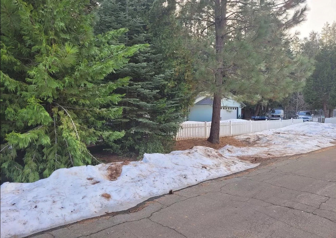 .51 Acres Of Residential Land For Sale In Shingletown, CA   Government Surplus Auction - Photo #3