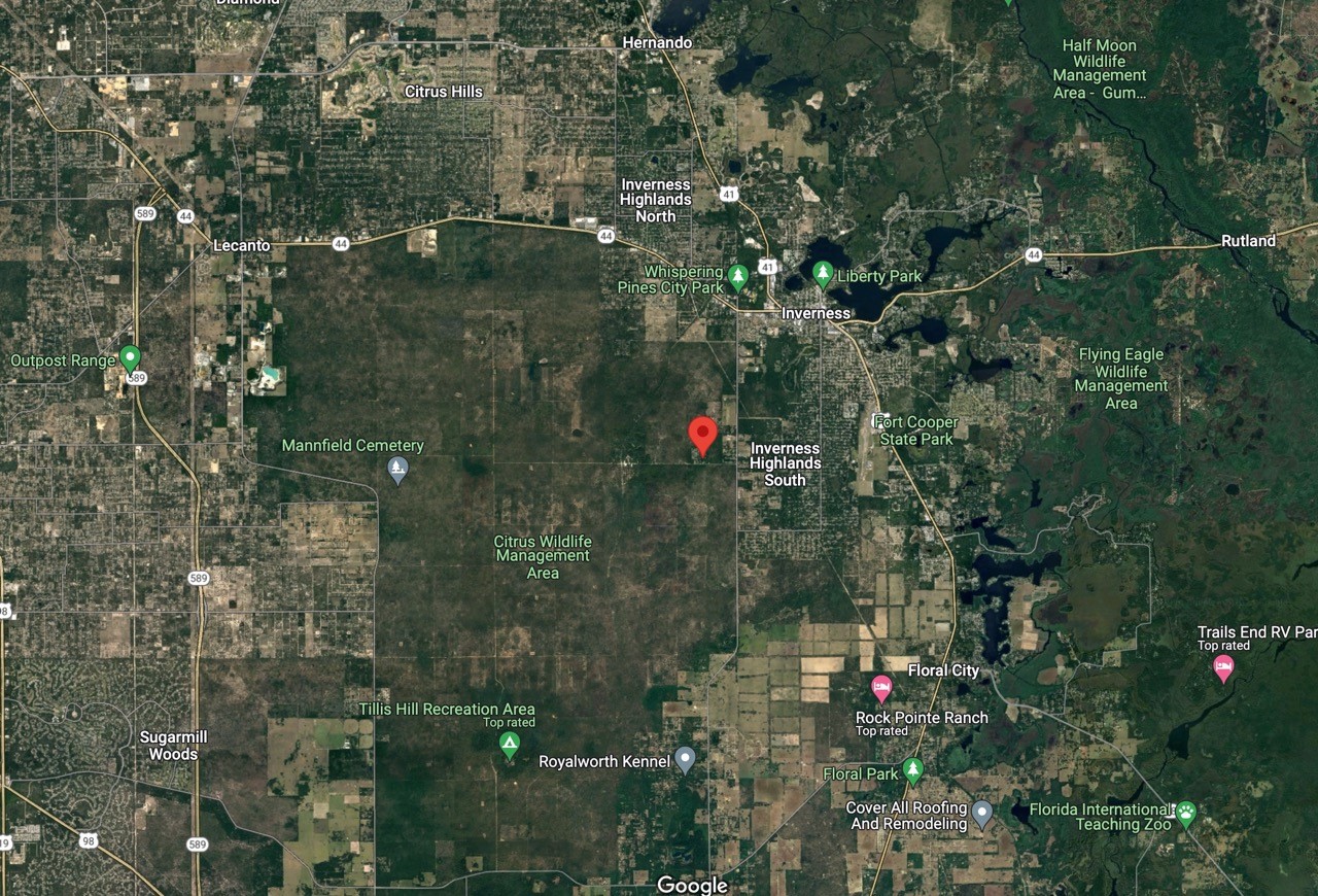 Undeveloped, Residential Property in Inverness, FL   Government Surplus Auction - Photo #4