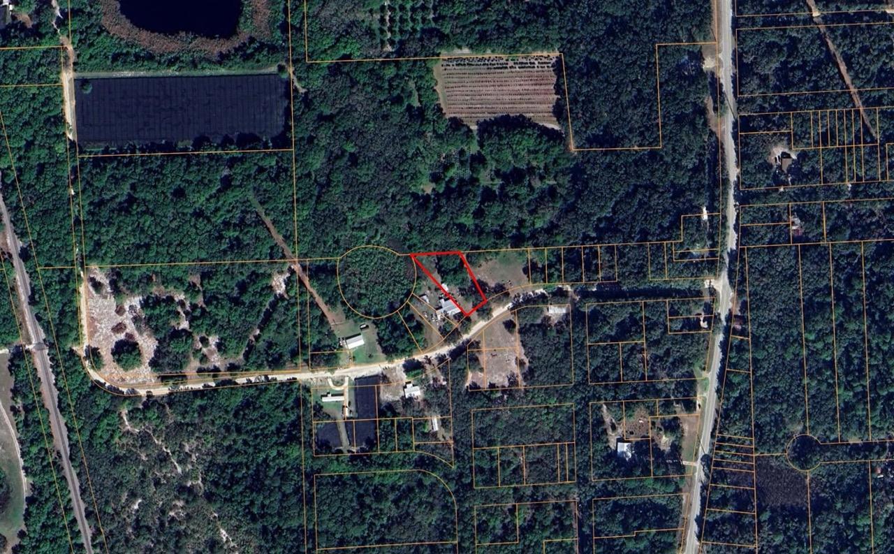 Agricultural Quarter-Acre in Crescent City, FL   Government Surplus Auction - Photo #4