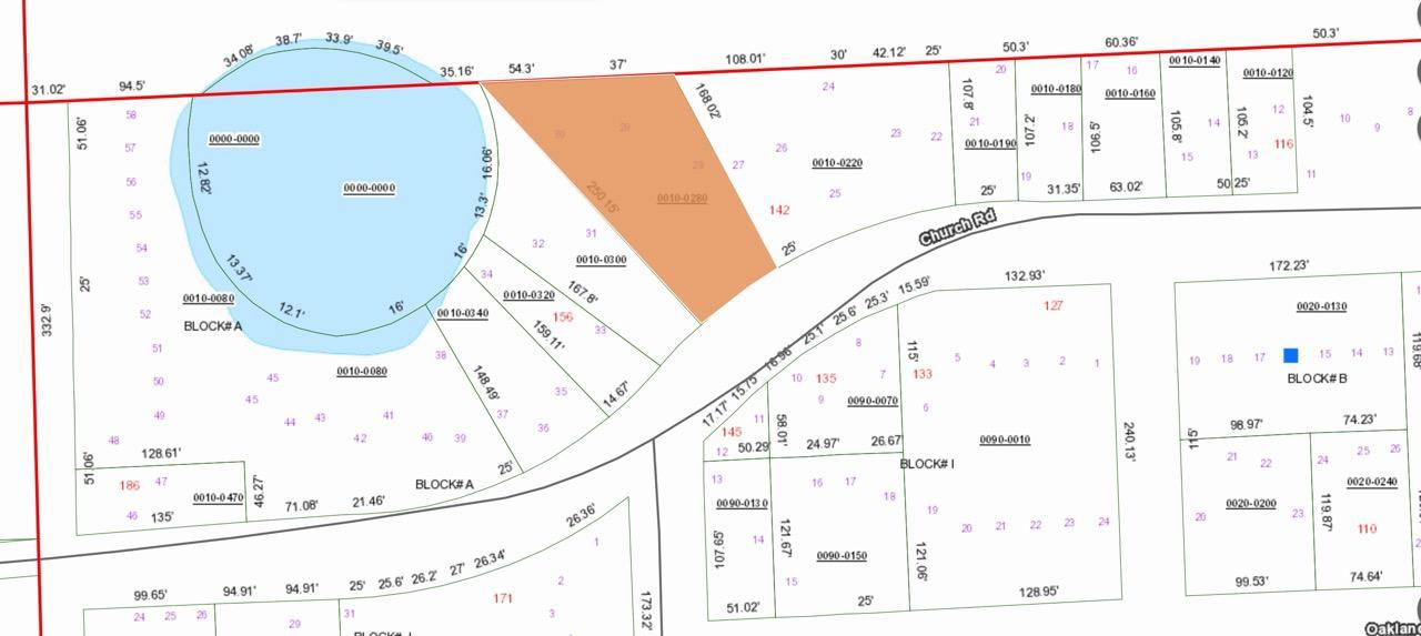 Agricultural Quarter-Acre in Crescent City, FL   Government Surplus Auction - Photo #5