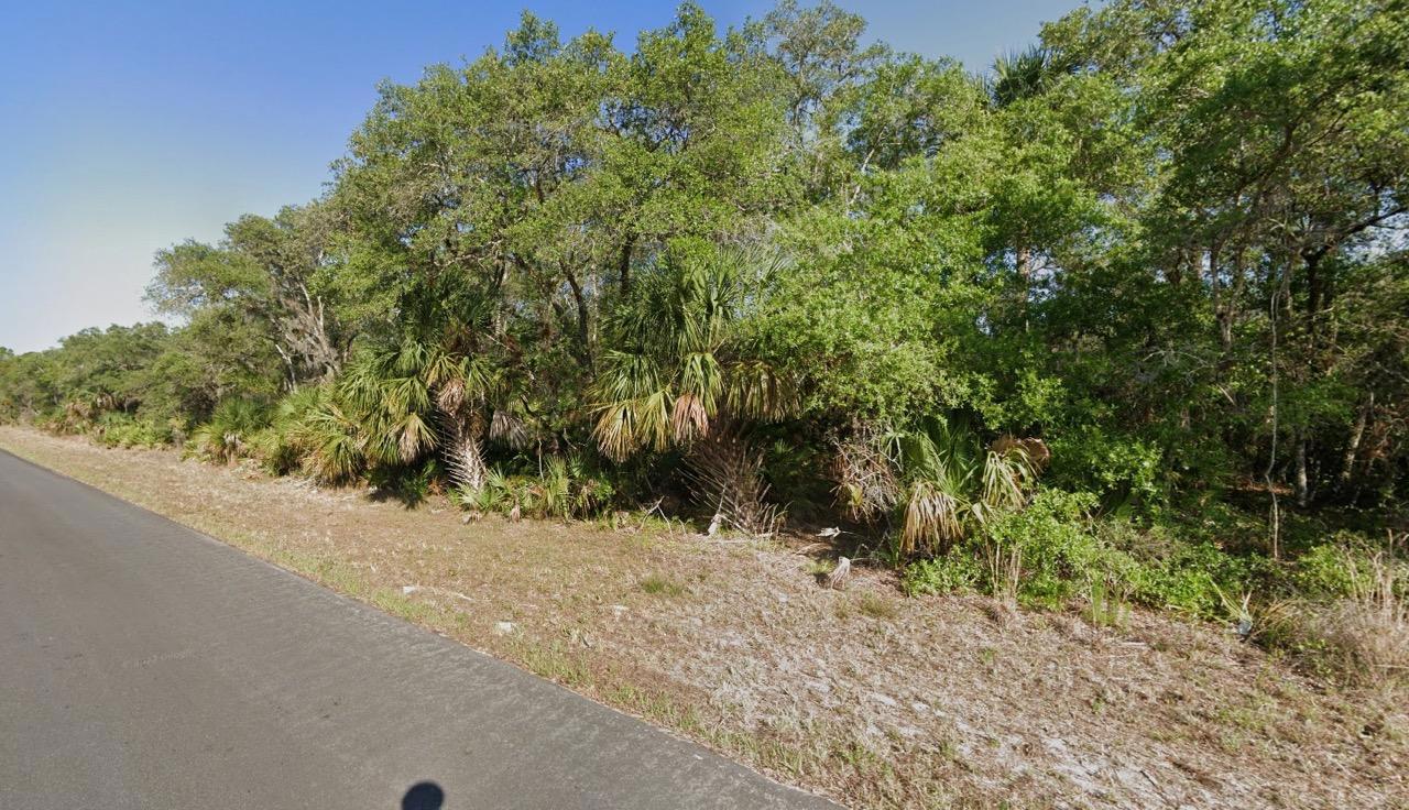 Buildable 10,000 Sq Ft. Residential Property In Port Charlotte, FL   Government Surplus Auction - Photo #2