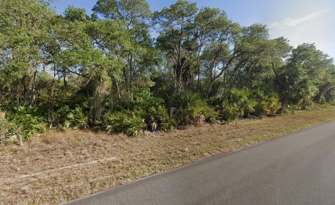 Buildable 10,000 Sq Ft. Residential Property In Port Charlotte, FL   Government Surplus Auction - Photo #3