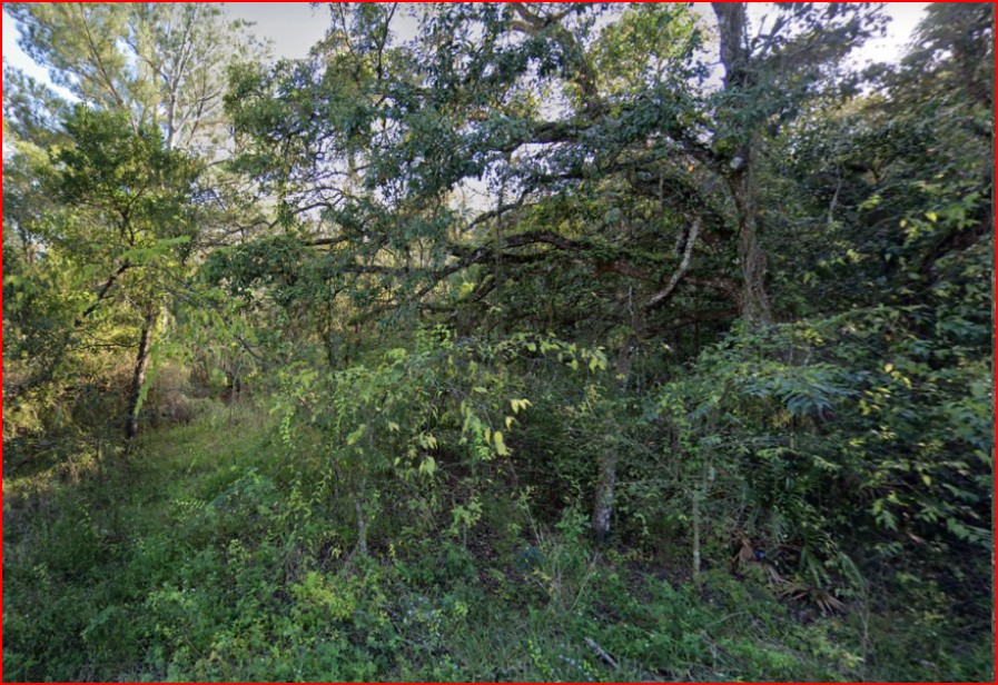 Vacant, Level Lot for Sale in Residential Hernando County