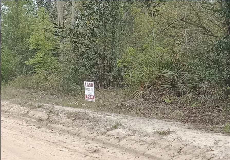 Single Family Residential Double Lot in Fountain, FL   Government Surplus Auction - Photo #3