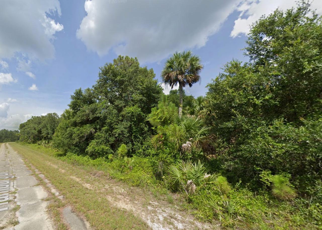 Undeveloped Single Family Residential Lot in North Port, FL   Government Surplus Auction - Photo #2