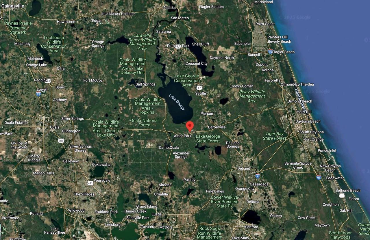 Vacant Residential Lot near St. John’s River in Astor, FL   Government Surplus Auction - Photo #5