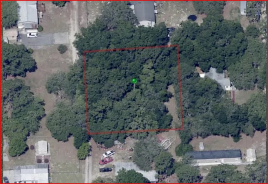Wooded Home Site in Hernando, FL   Government Surplus Auction - Photo #5