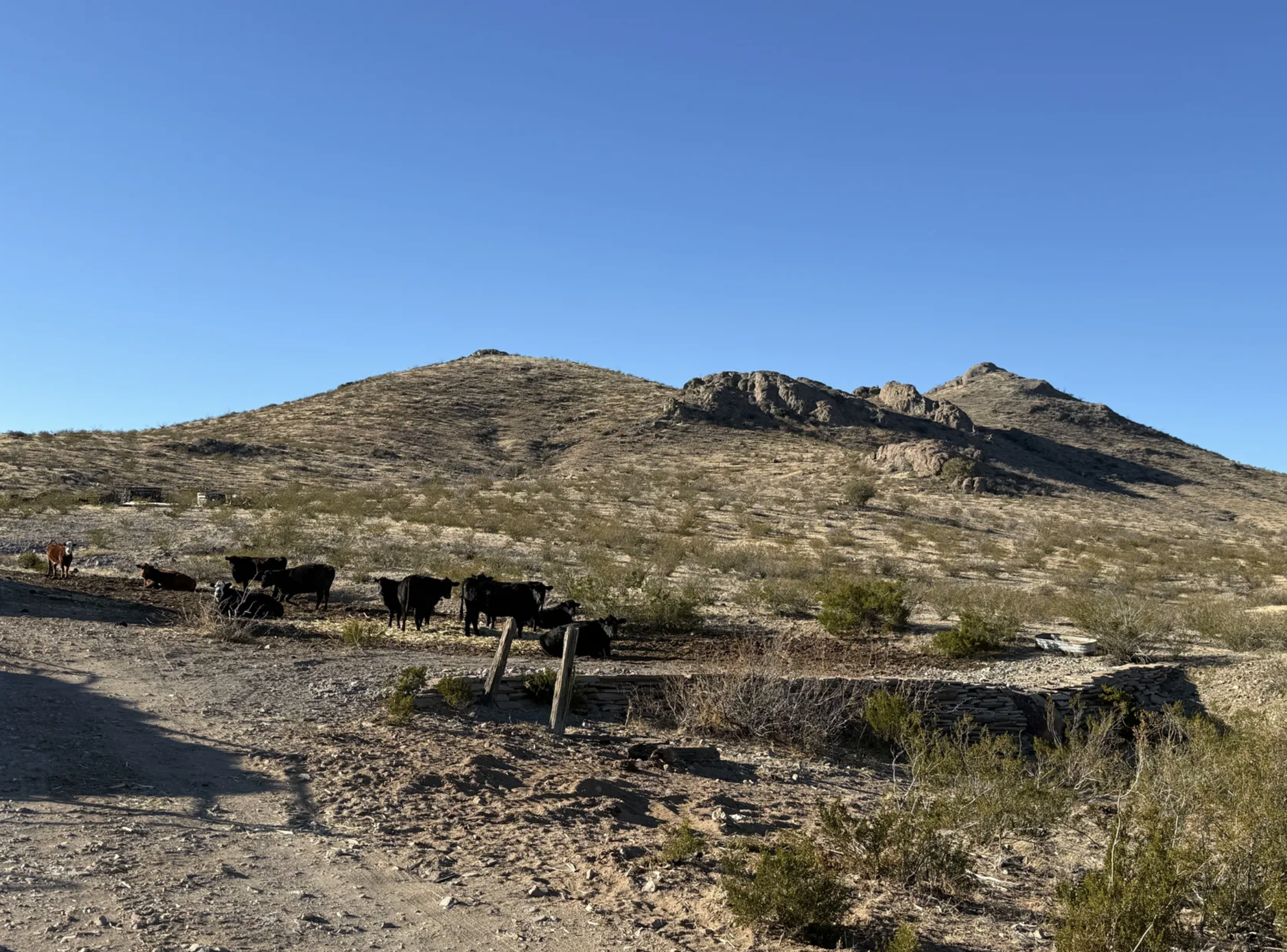 Resid Lot - 0.50acre in Deming, NM, Near Proposed Casino!