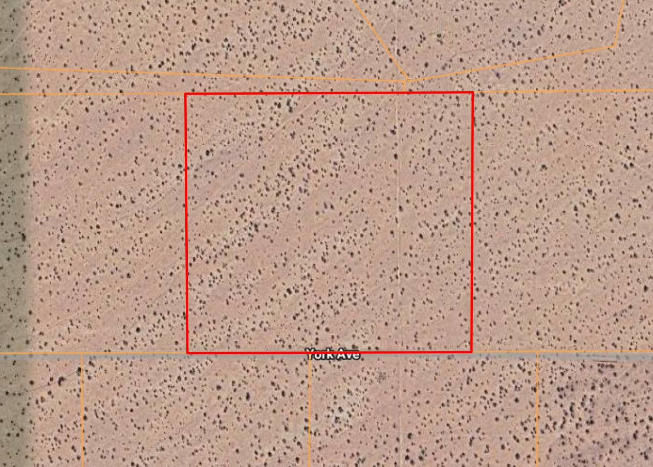 OWNER-FINANCED: California City, CA - 19.35 Acres Agricultural! $1 Down & as low as $200/mo.   Government Surplus Auction - Photo #2