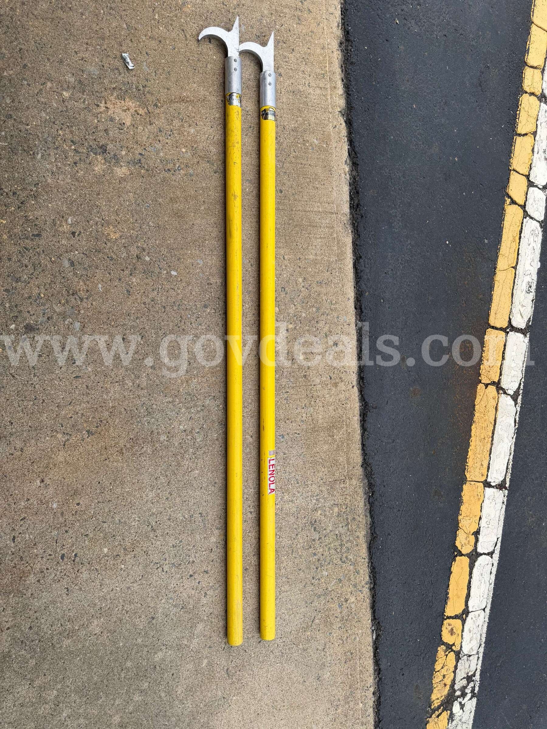 6' pike poles Duo-Safety Ladder Corp  Government Surplus Auction - Primary Photo