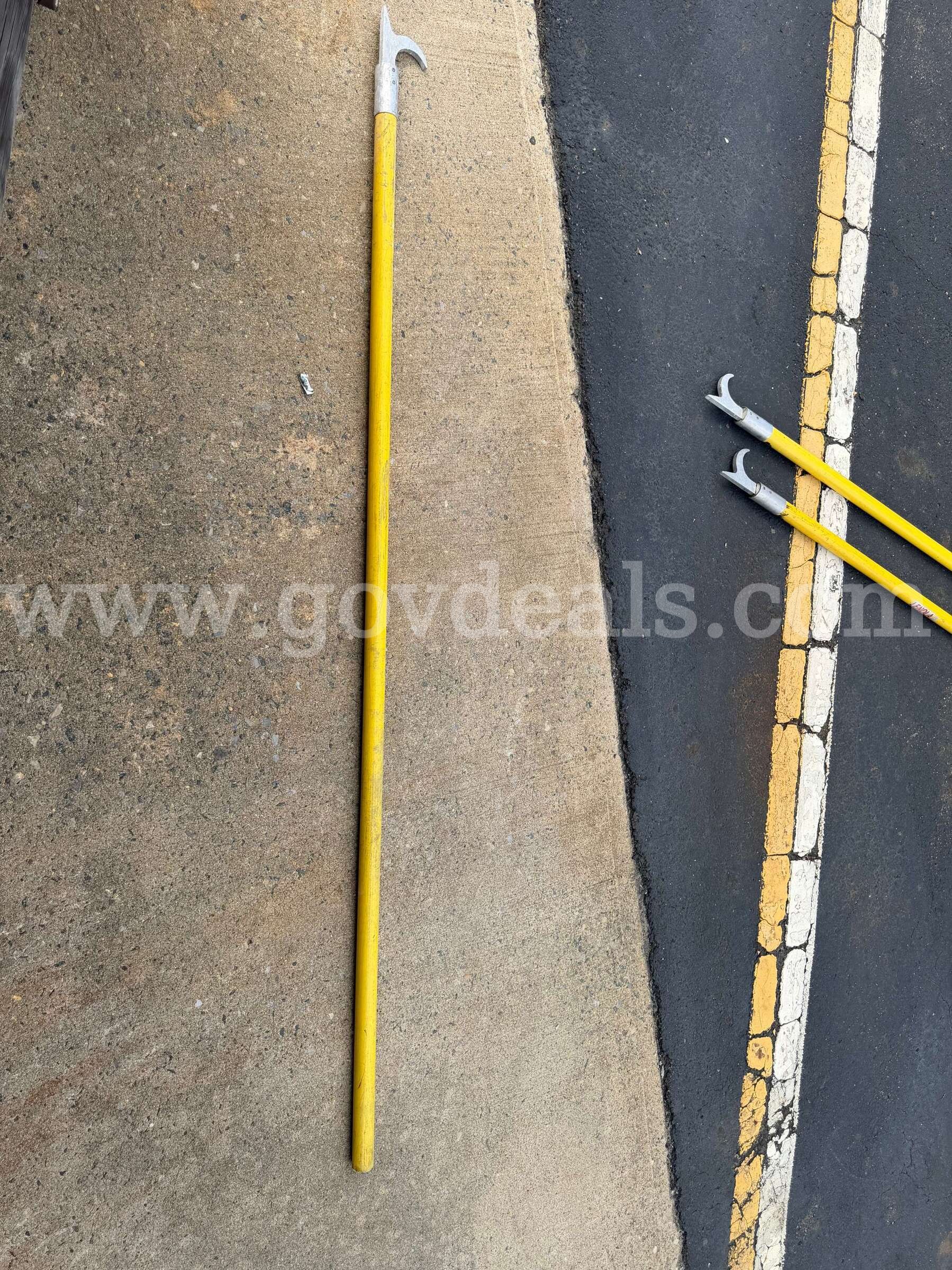 8' pike pole Duo-Ladder Safety Corp  Government Surplus Auction - Primary Photo