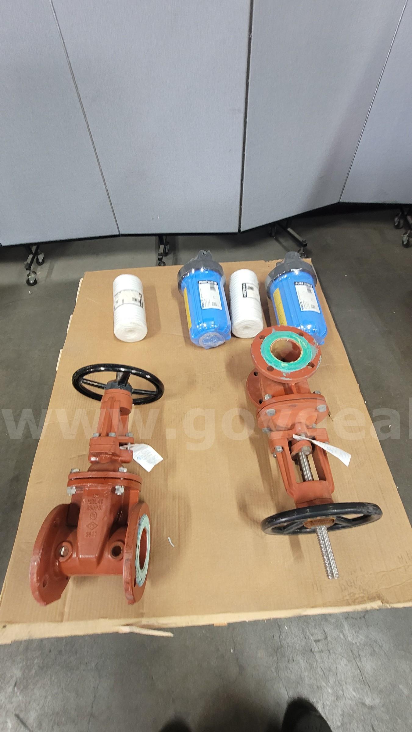 ****INDUSTRIAL WATER PRESSURE GATE VALVE AND WATER FILTER **** (I)   Government Surplus Auction - Primary Photo