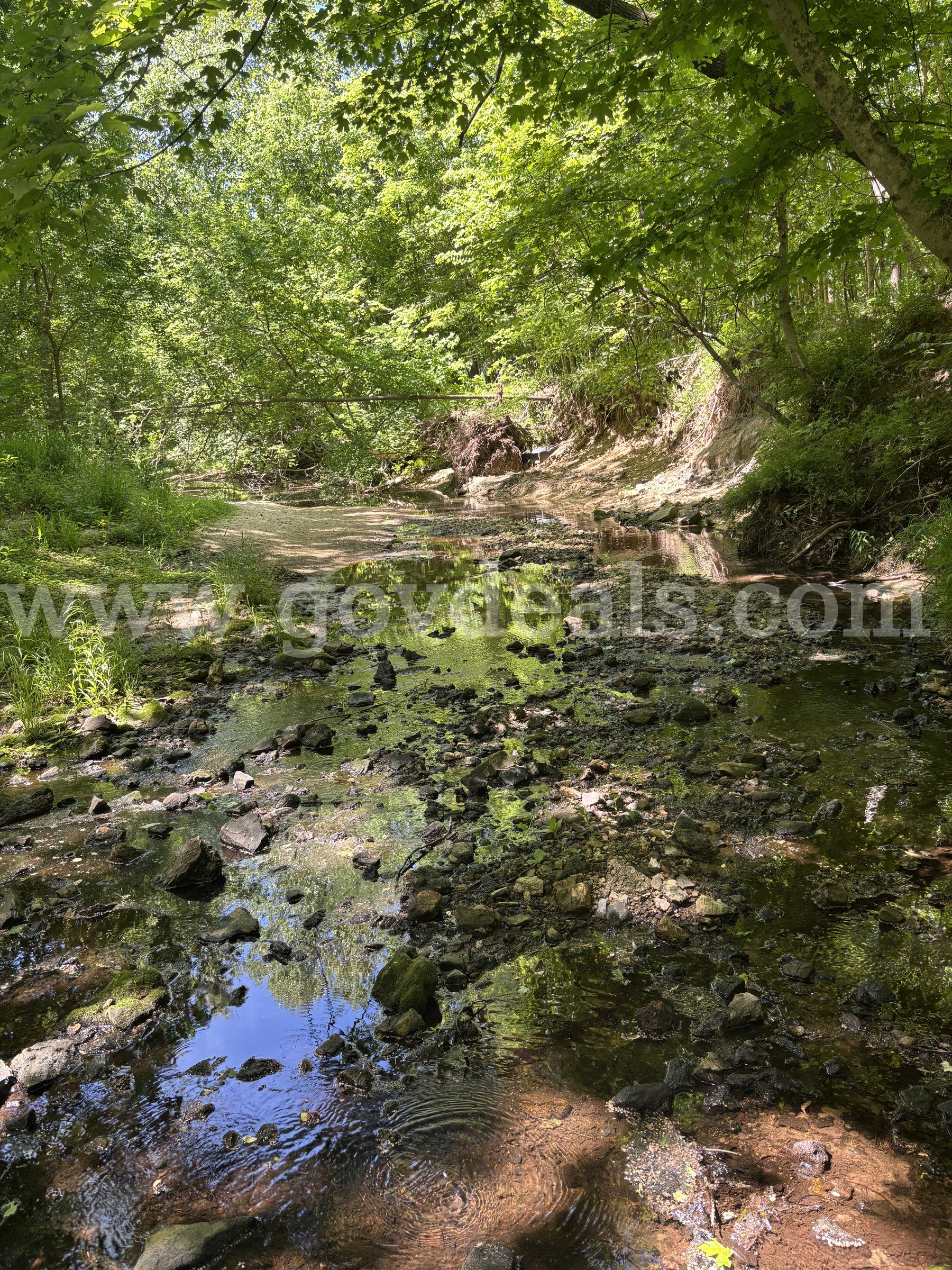 3.87 acres of Wooded Land in Cape Girardeau, Missouri   Government Surplus Auction - Primary Photo
