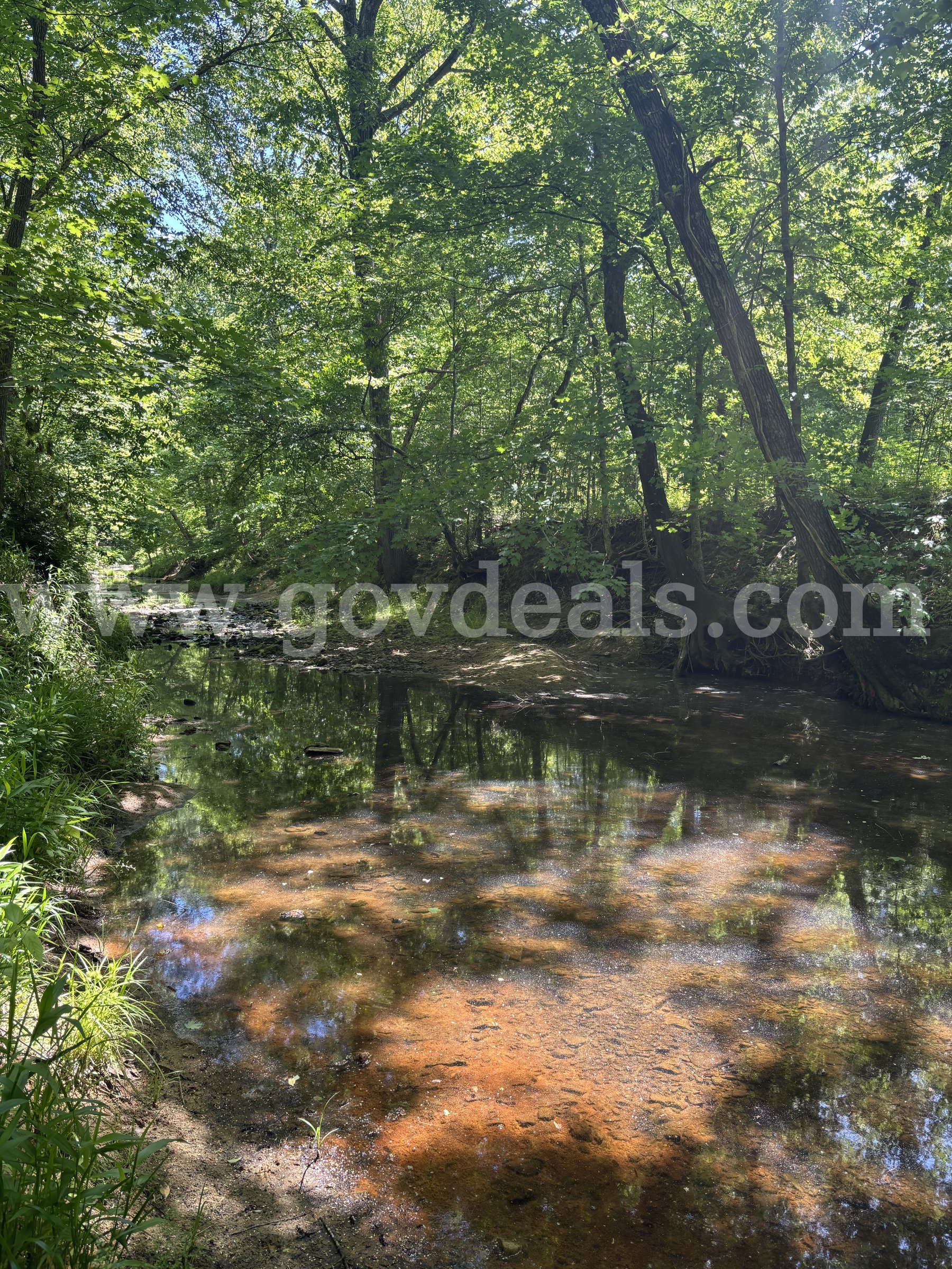 3.87 acres of Wooded Land in Cape Girardeau, Missouri   Government Surplus Auction - Photo #2