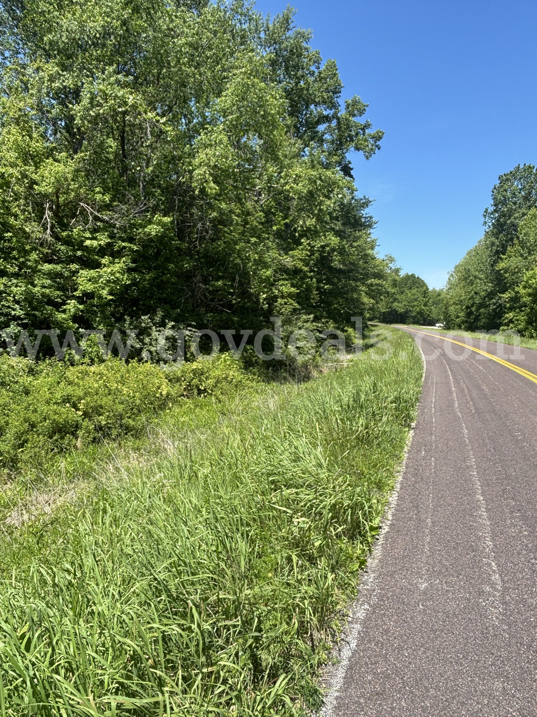 3.87 acres of Wooded Land in Cape Girardeau, Missouri   Government Surplus Auction - Photo #5
