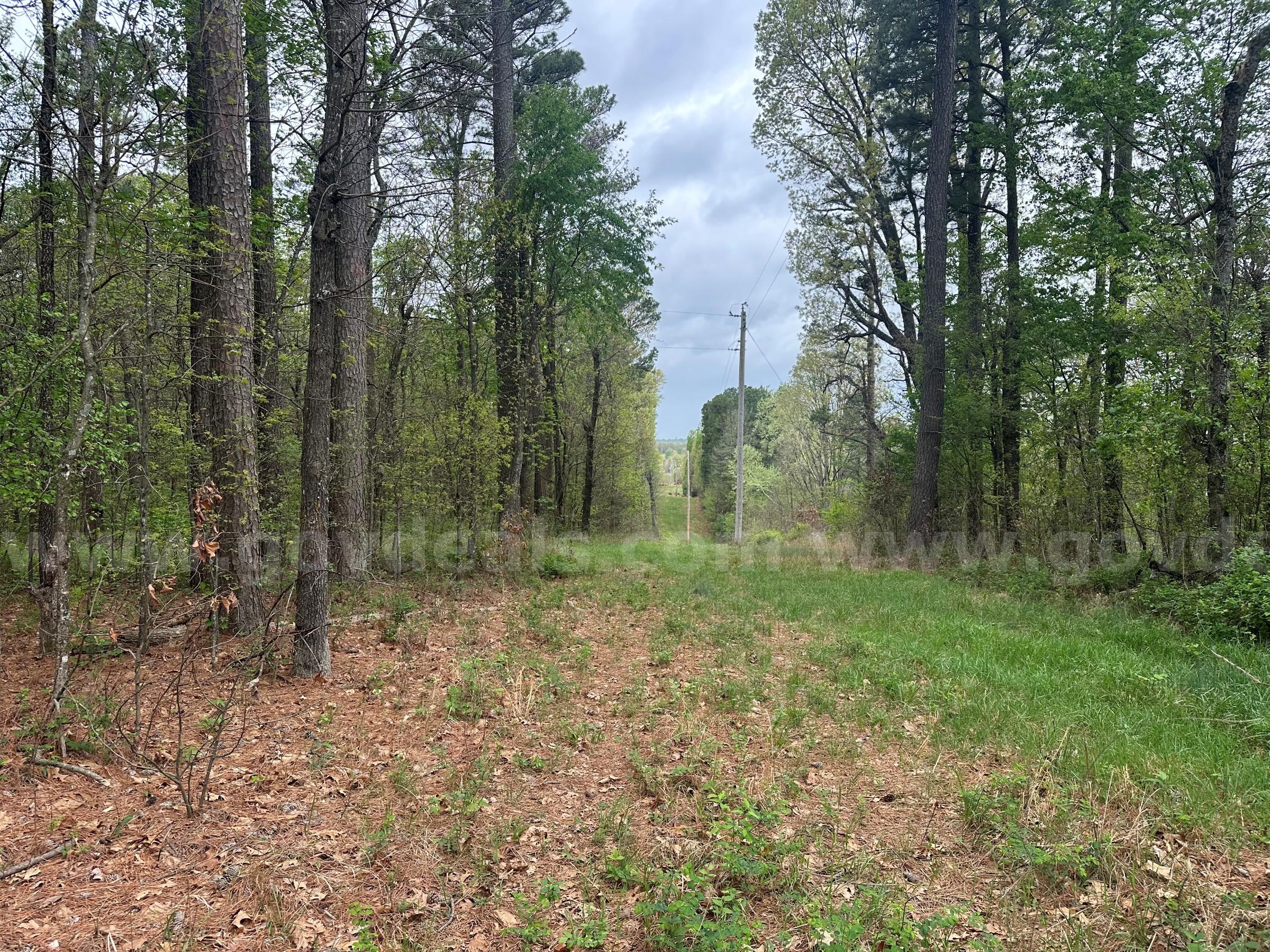 7.25 Acres of Wooded Recreational Land in McDonald County   Government Surplus Auction - Photo #2