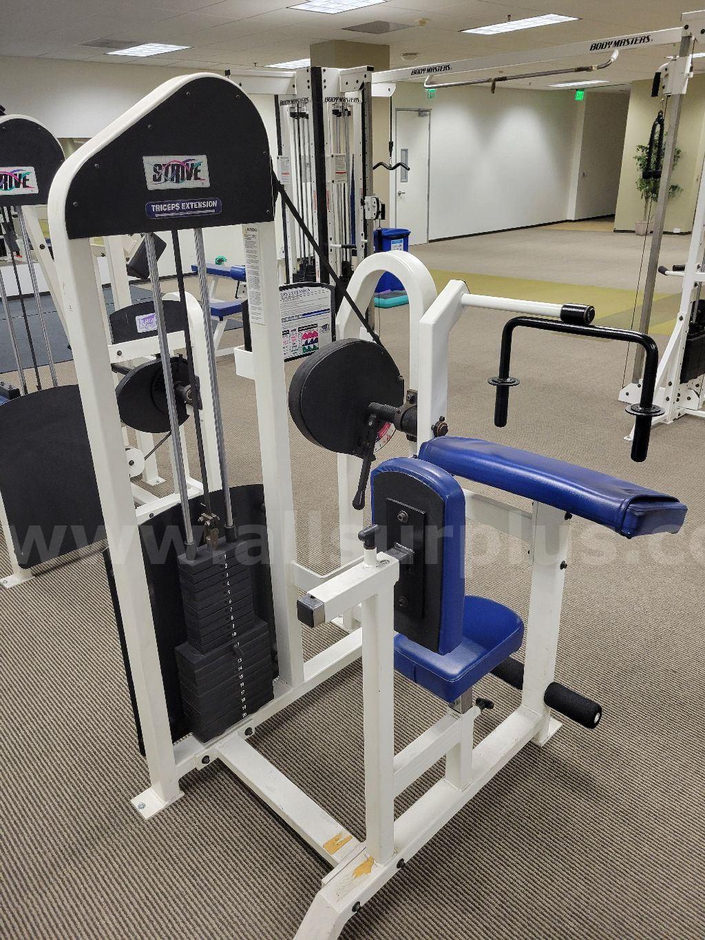 Strive Triceps Extension Machine Strive  Government Surplus Auction - Photo #2