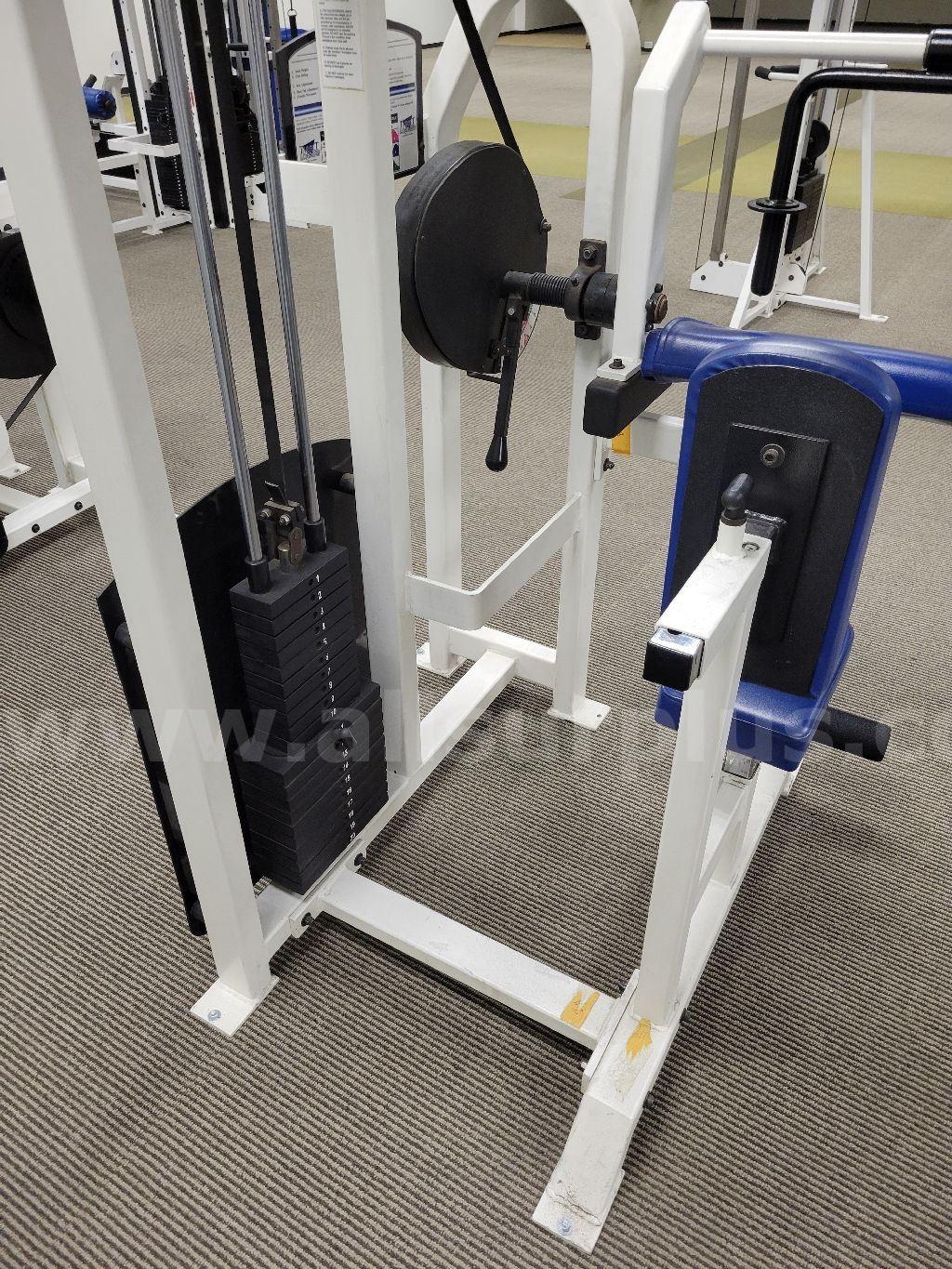 Strive Triceps Extension Machine Strive  Government Surplus Auction - Photo #3