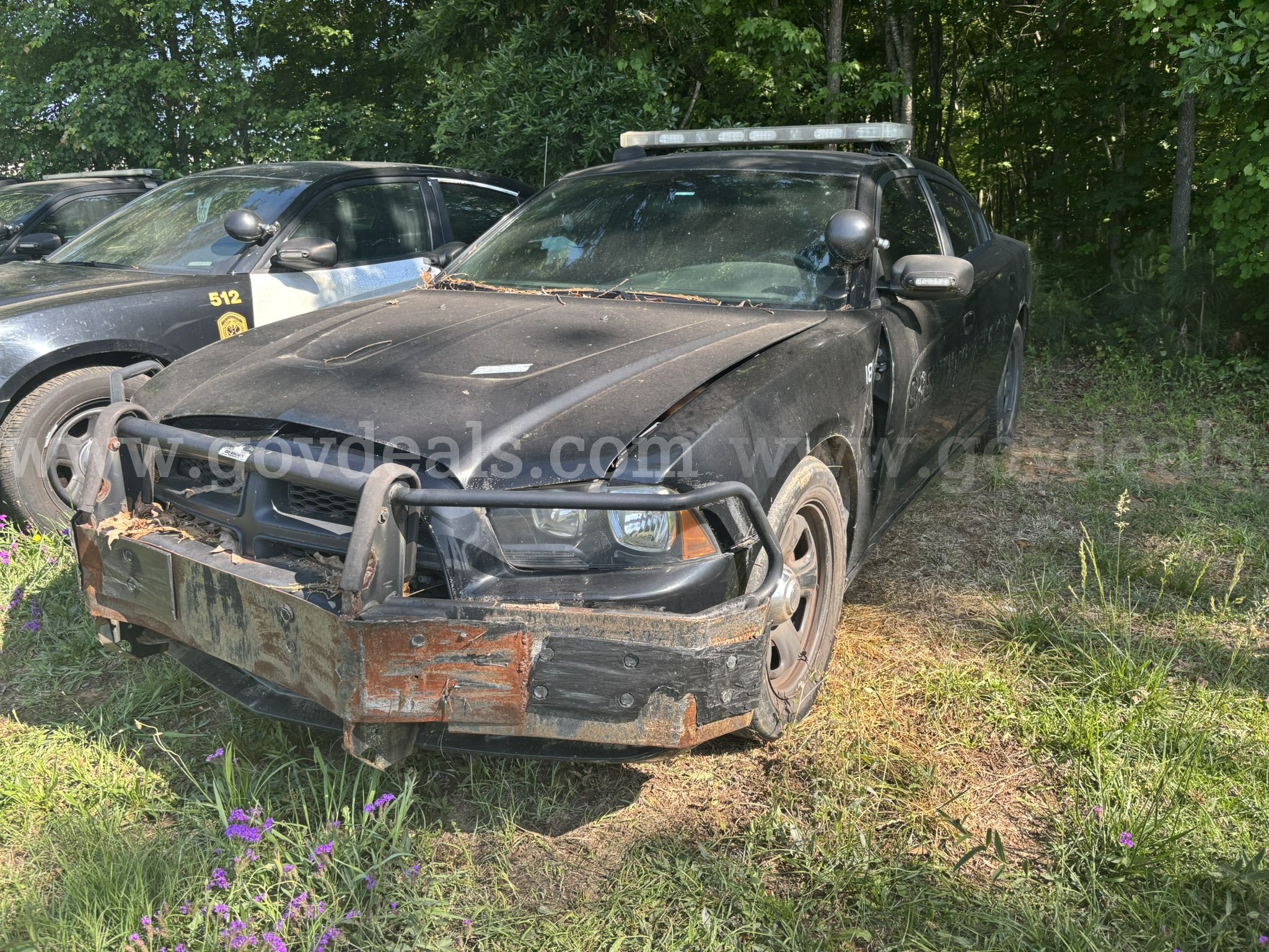 2013 Dodge Charger UNIT 182 Dodge Charger Government Surplus Auction - Primary Photo