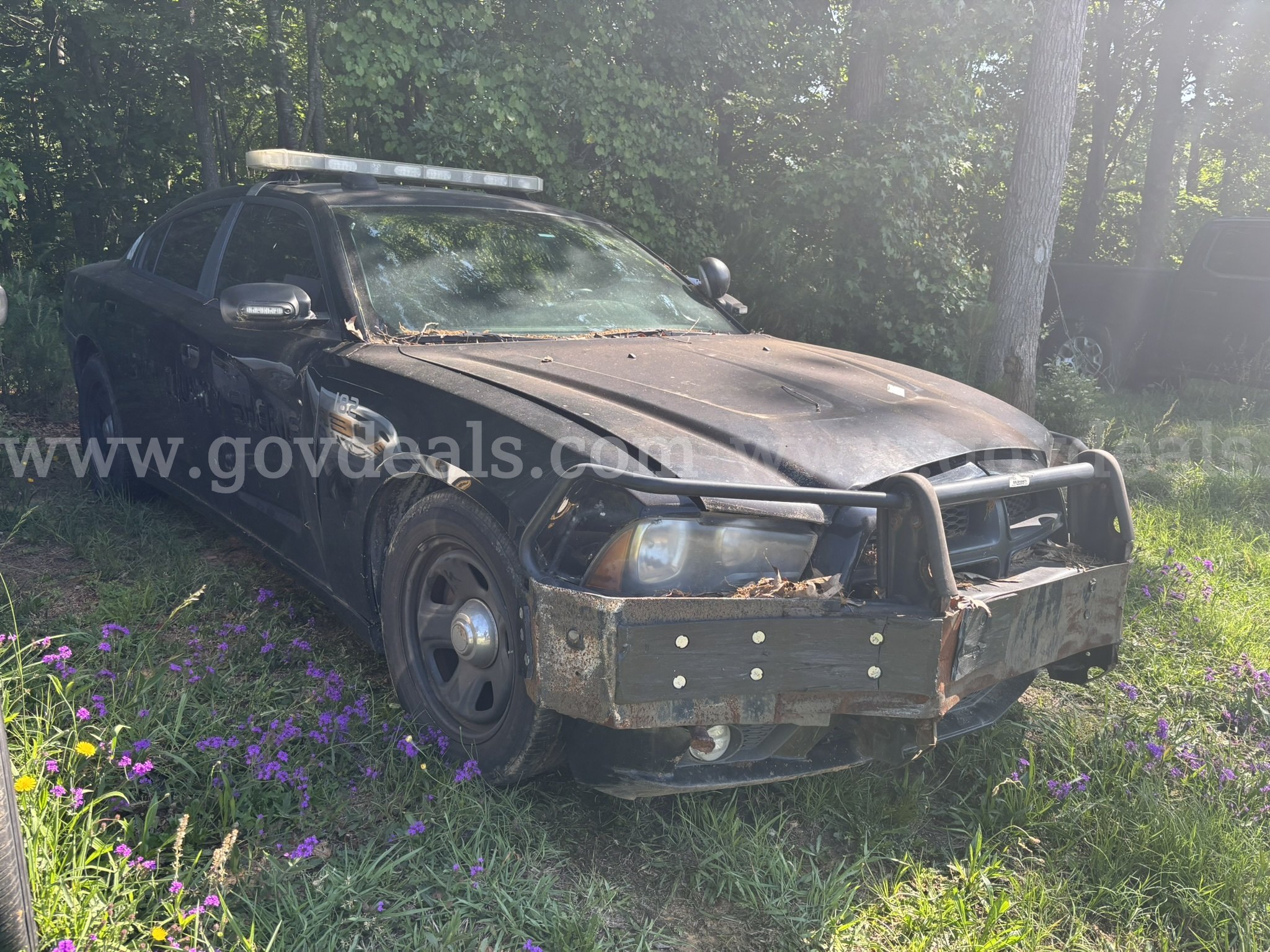 2013 Dodge Charger UNIT 182 Dodge Charger Government Surplus Auction - Photo #2