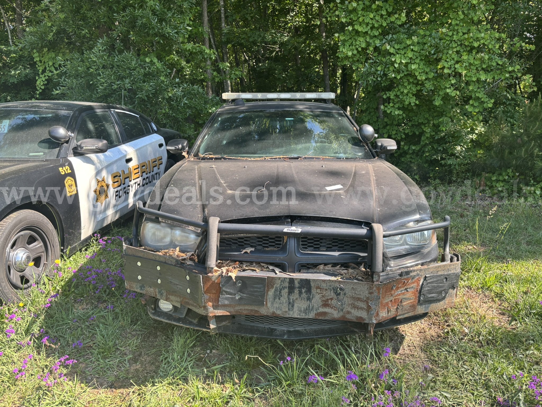 2013 Dodge Charger UNIT 182 Dodge Charger Government Surplus Auction - Photo #3