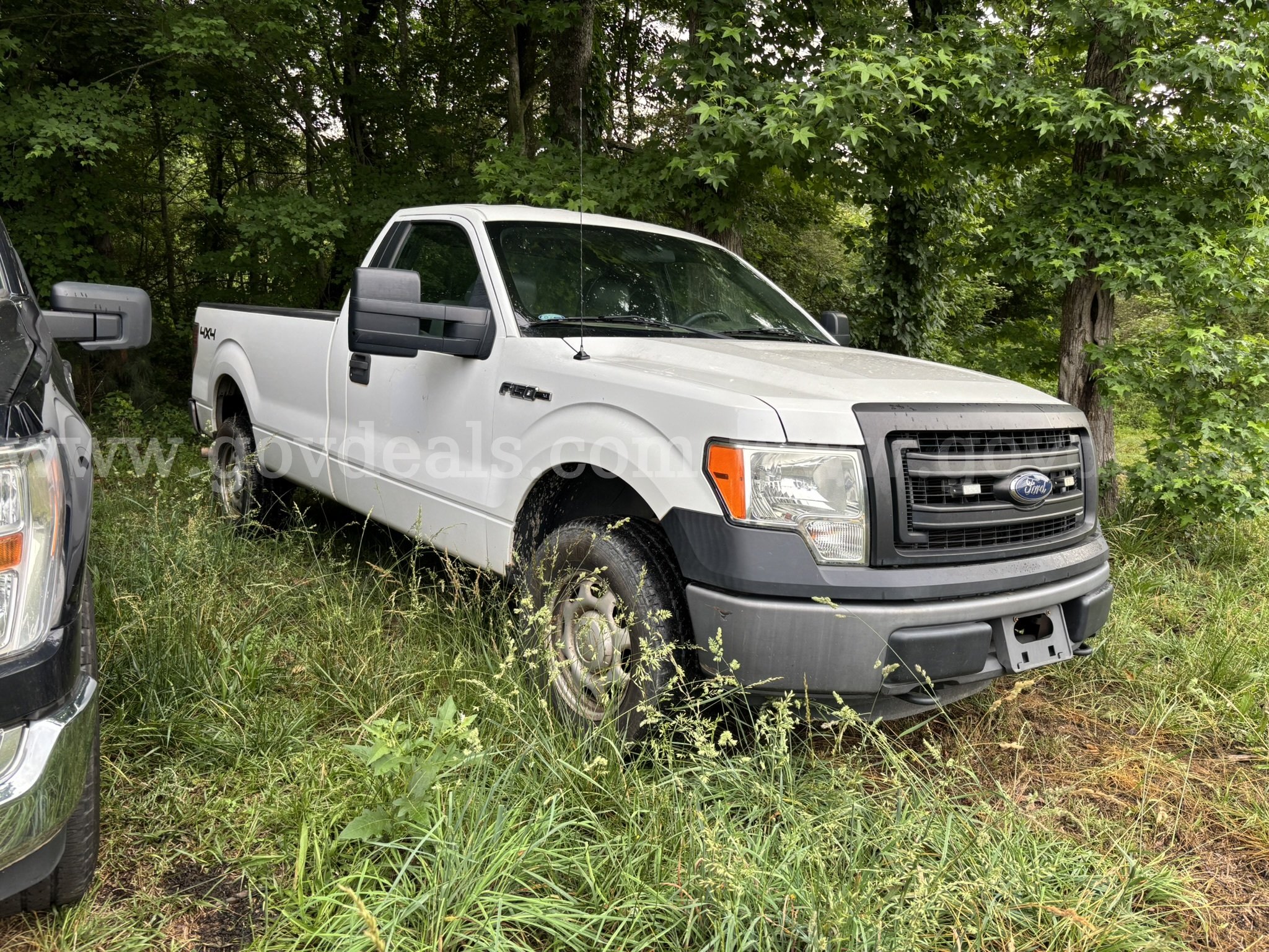 2013 Ford F-150 UNIT 24105 Ford F-150 Government Surplus Auction - Photo #2