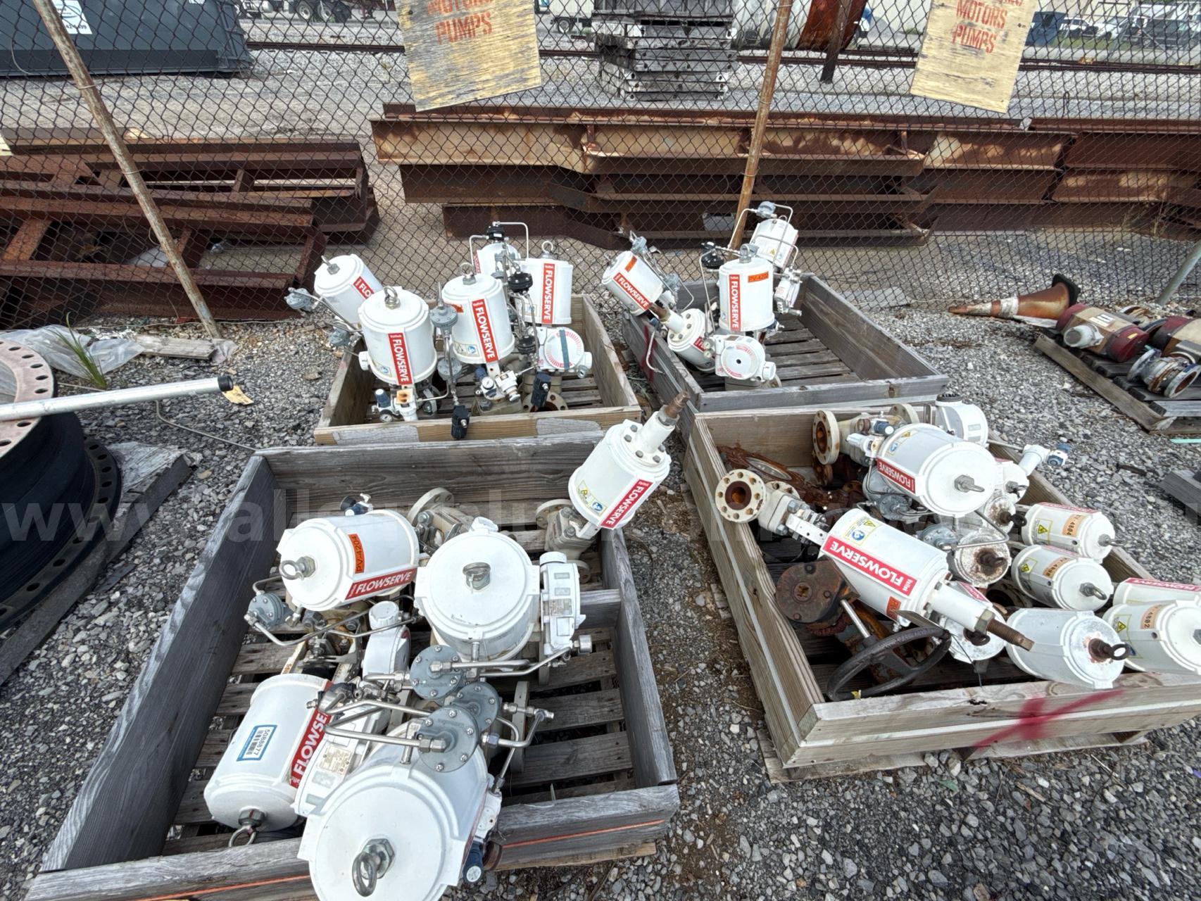 Valves, Check, Butterfly, 2in to 10in, Cl 300, WCC, CF8M, Flow Serve, Qty 27  300 Government Surplus Auction - Photo #2