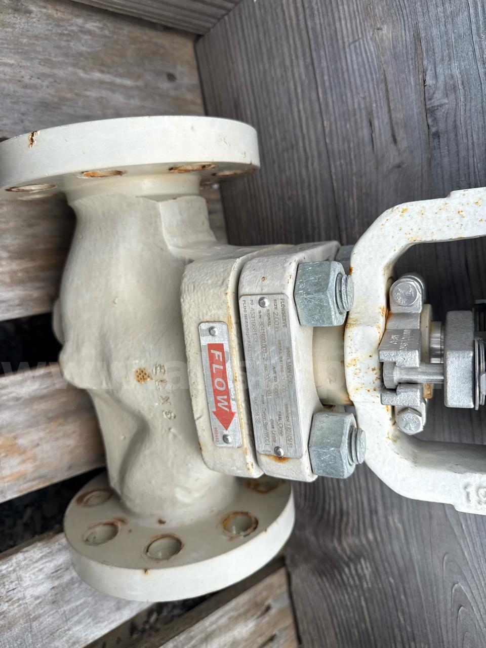Valves, Check, Butterfly, 2in to 10in, Cl 300, WCC, CF8M, Flow Serve, Qty 27  300 Government Surplus Auction - Photo #5