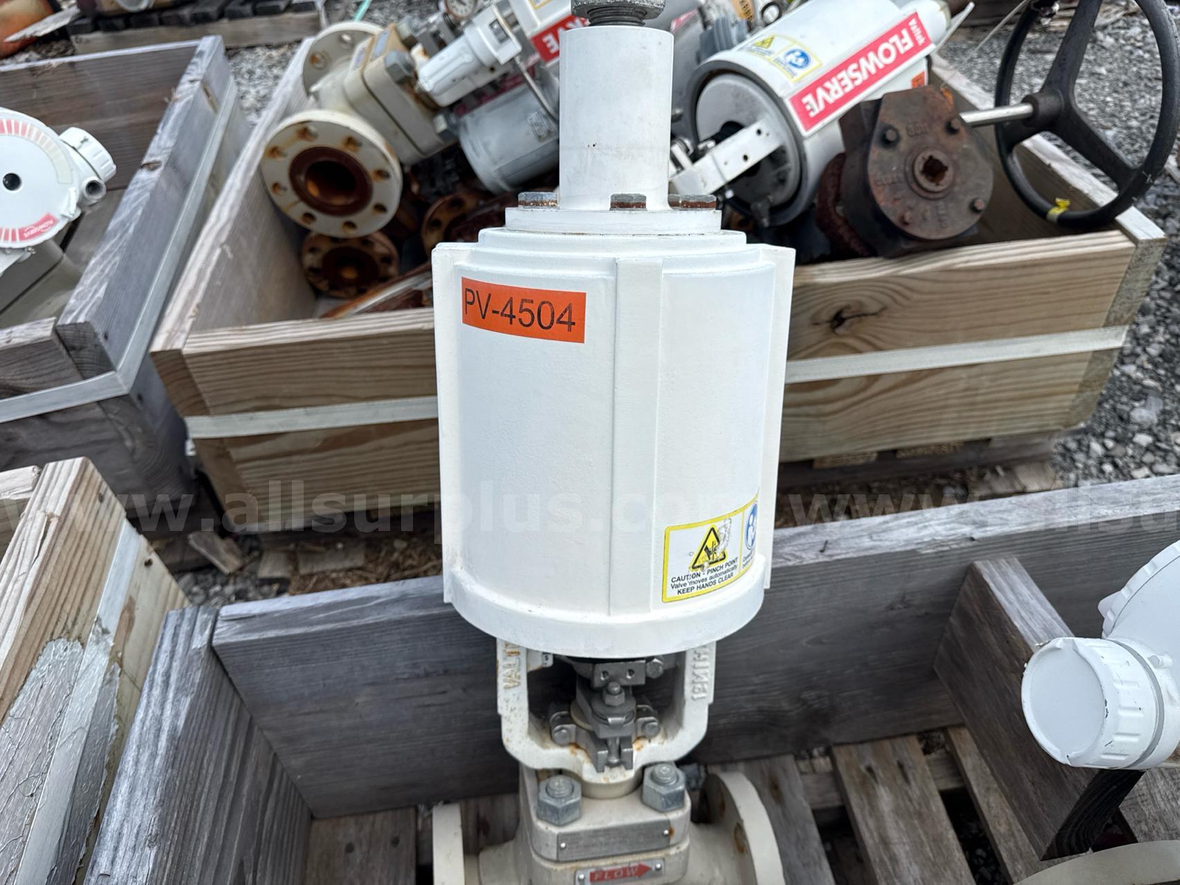 Valves, Check, Butterfly, 2in to 10in, Cl 300, WCC, CF8M, Flow Serve, Qty 27  300 Government Surplus Auction - Photo #6