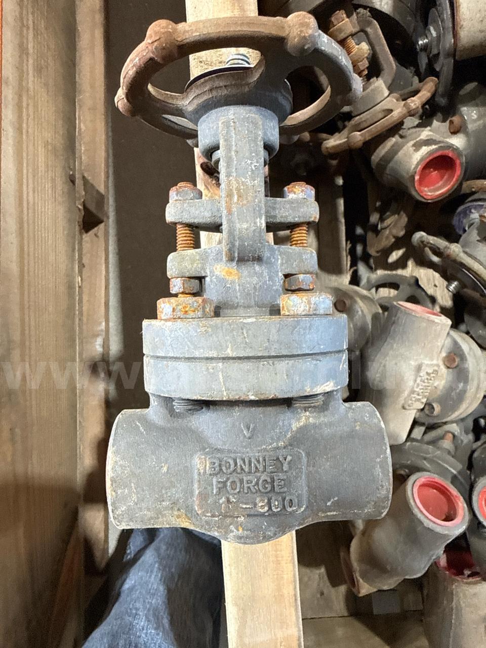 Valves, Gate, 3/4in to 2 in, Cl800, Qty Approx 818  Cl800 Government Surplus Auction - Photo #2