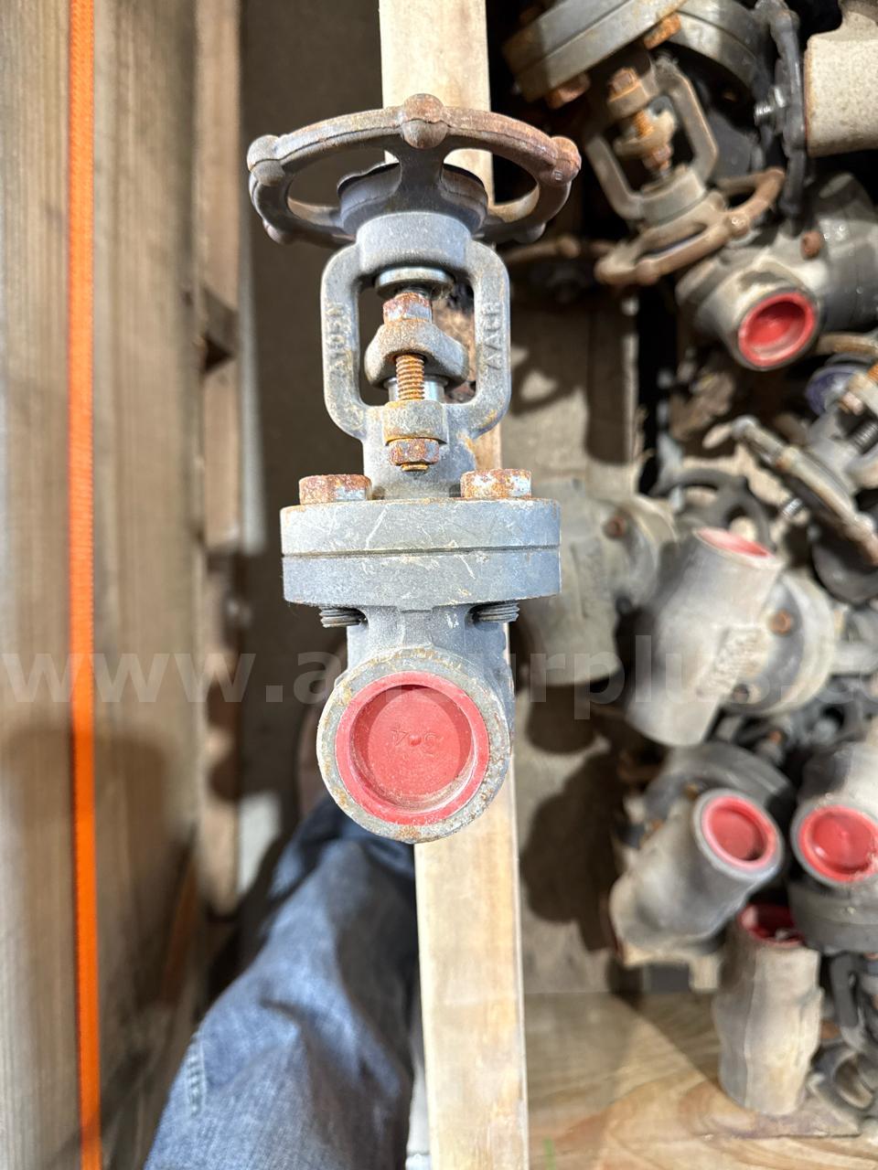 Valves, Gate, 3/4in to 2 in, Cl800, Qty Approx 818  Cl800 Government Surplus Auction - Photo #4