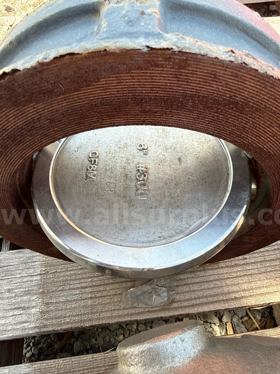 Valves, Gate, Butterfly, 2in to 8in, CL150, CF8M, Qty 36  CL150 Government Surplus Auction - Photo #5