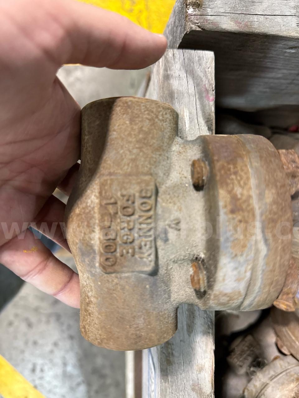 Valves, Check, 1in to 2in, Cl800, Qty Approx 651  Cl800 Government Surplus Auction - Photo #3