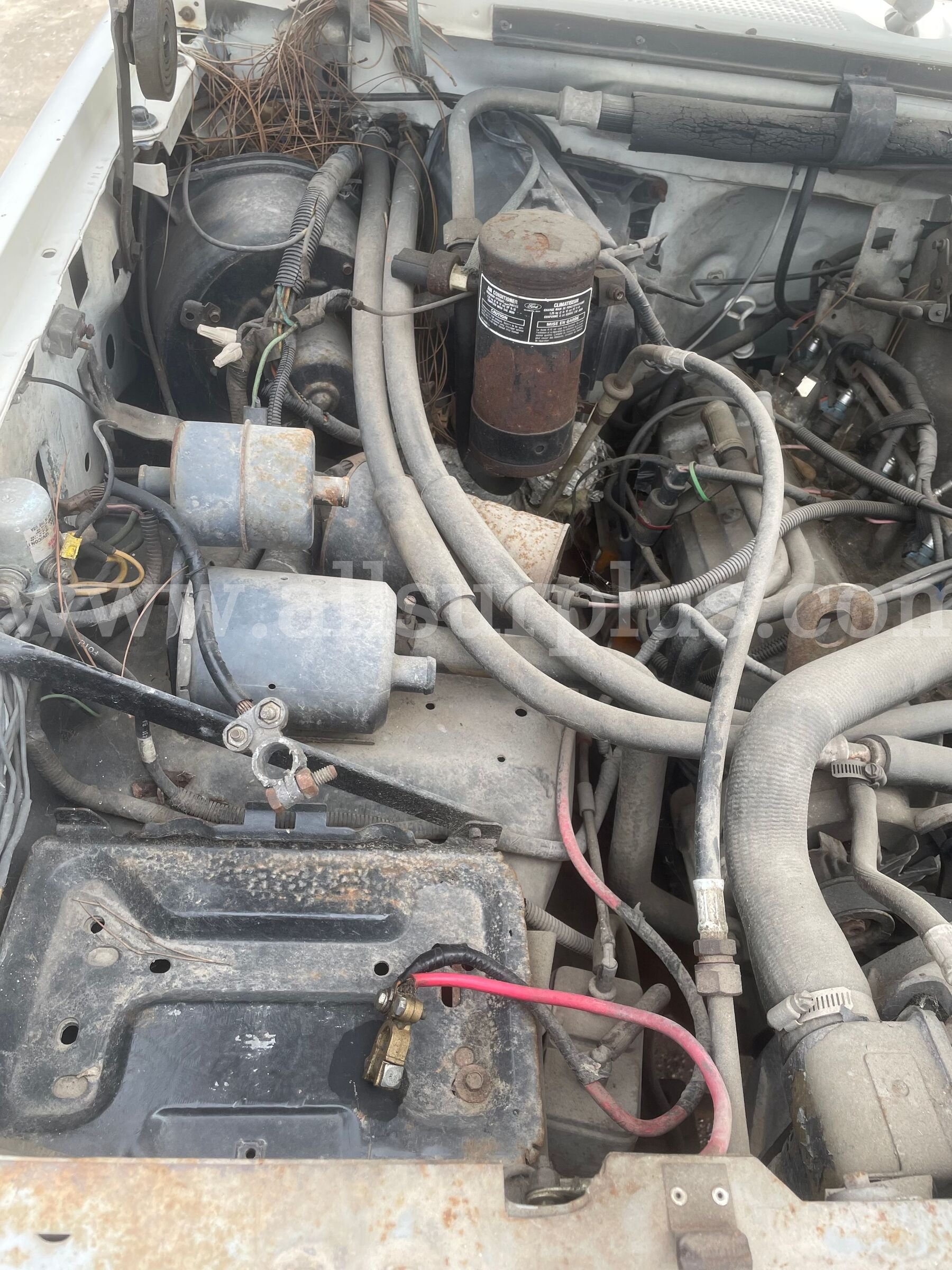 1990 Ford F-250 Reg. Cab 2WD Ford F-250 Government Surplus Auction - Photo #4