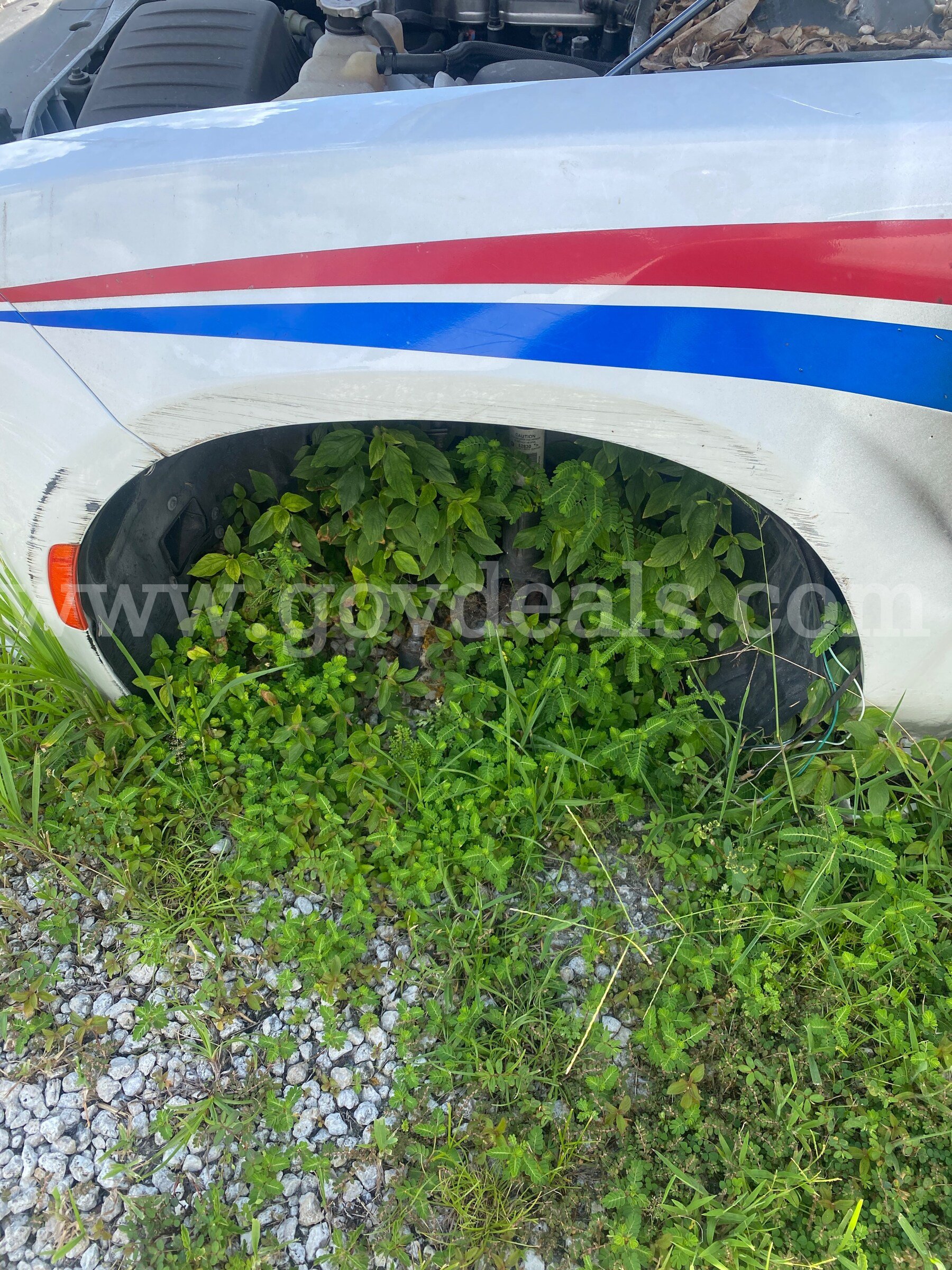 2021 Dodge Charger Dodge Charger Government Surplus Auction - Photo #6
