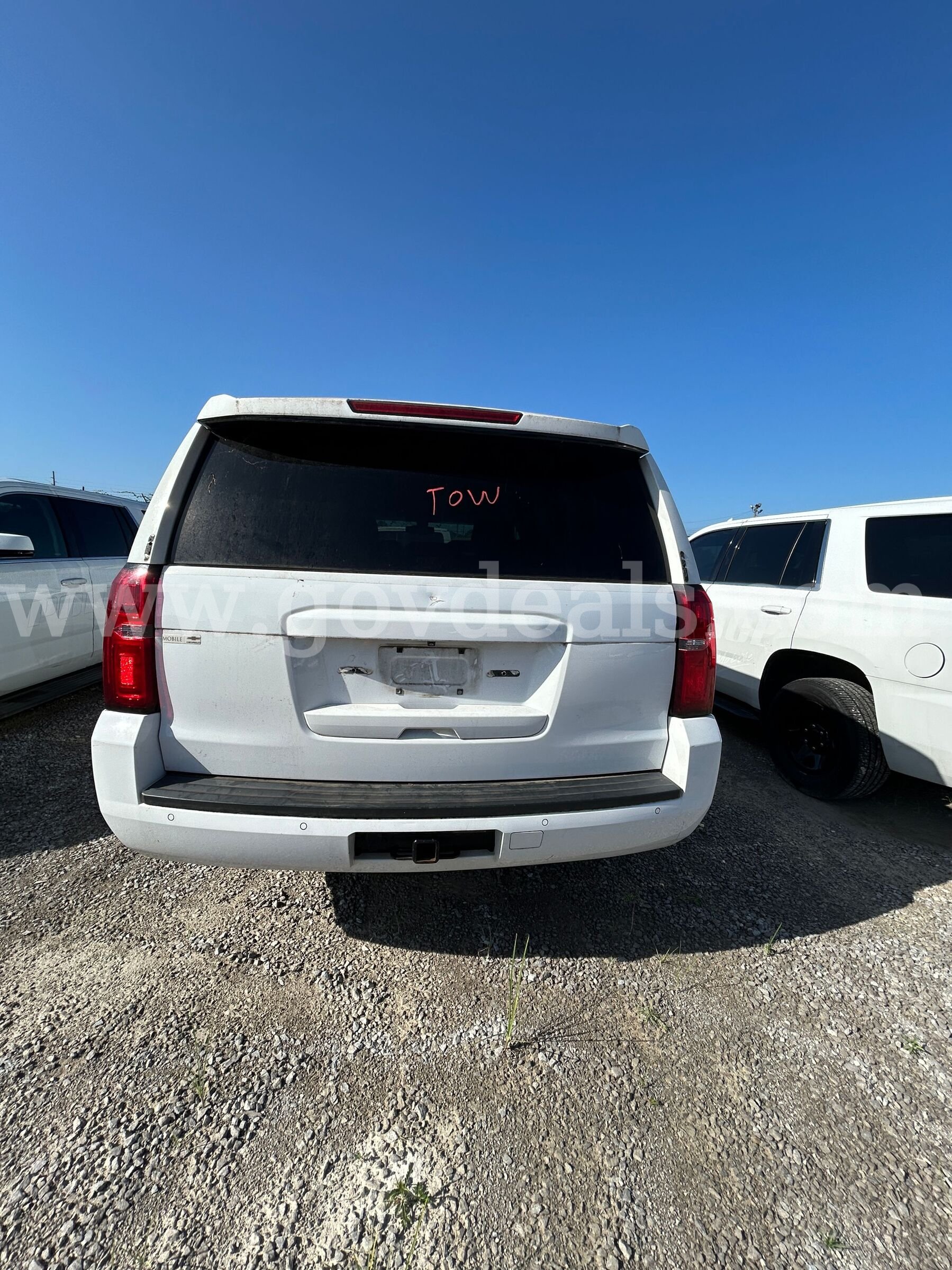 WHITE 2019 CHEVROLET TAHOE Chevrolet TAHOE Government Surplus Auction - Photo #6